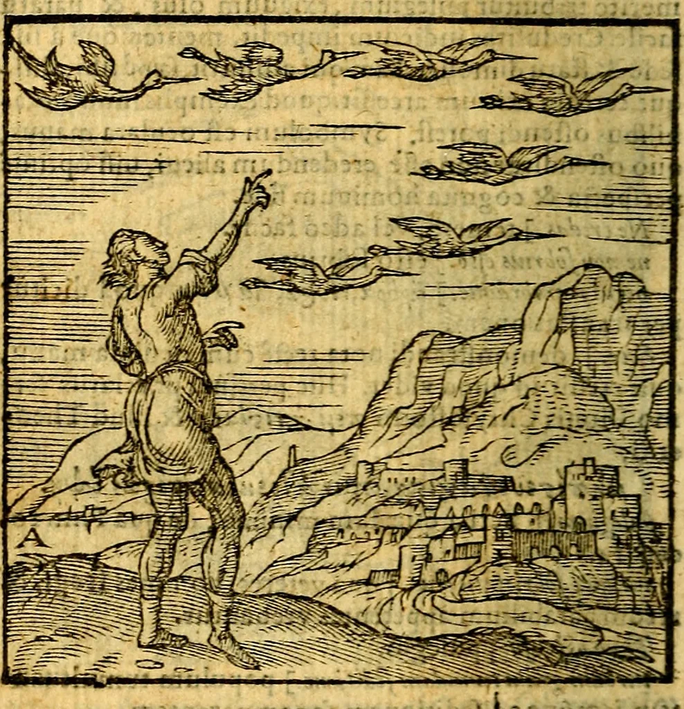 An illustration from Emblemata v. c. Andreae Alciati Mediolanensis iurisconsulti : cum facili & compe[n]diosa explicatione, qua obscura illustrantur, dubiáque omnia solvuntur, 1584, leaf 55