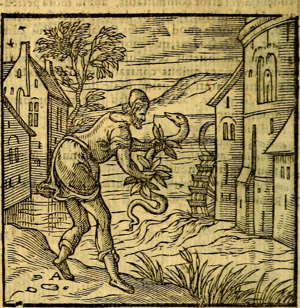 An illustration from Emblemata v. c. Andreae Alciati Mediolanensis iurisconsulti : cum facili & compe[n]diosa explicatione, qua obscura illustrantur, dubiáque omnia solvuntur, 1584, leaf 63