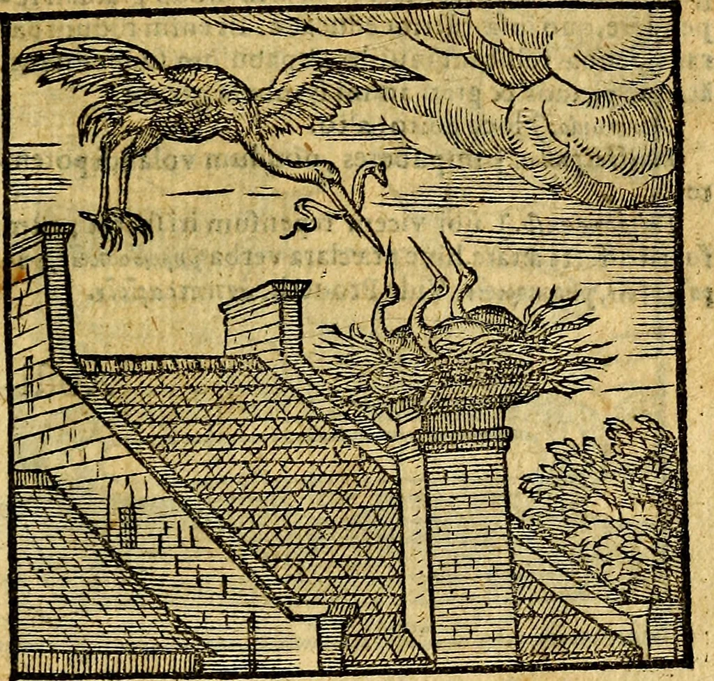 An illustration from Emblemata v. c. Andreae Alciati Mediolanensis iurisconsulti : cum facili & compe[n]diosa explicatione, qua obscura illustrantur, dubiáque omnia solvuntur, 1584, leaf 84