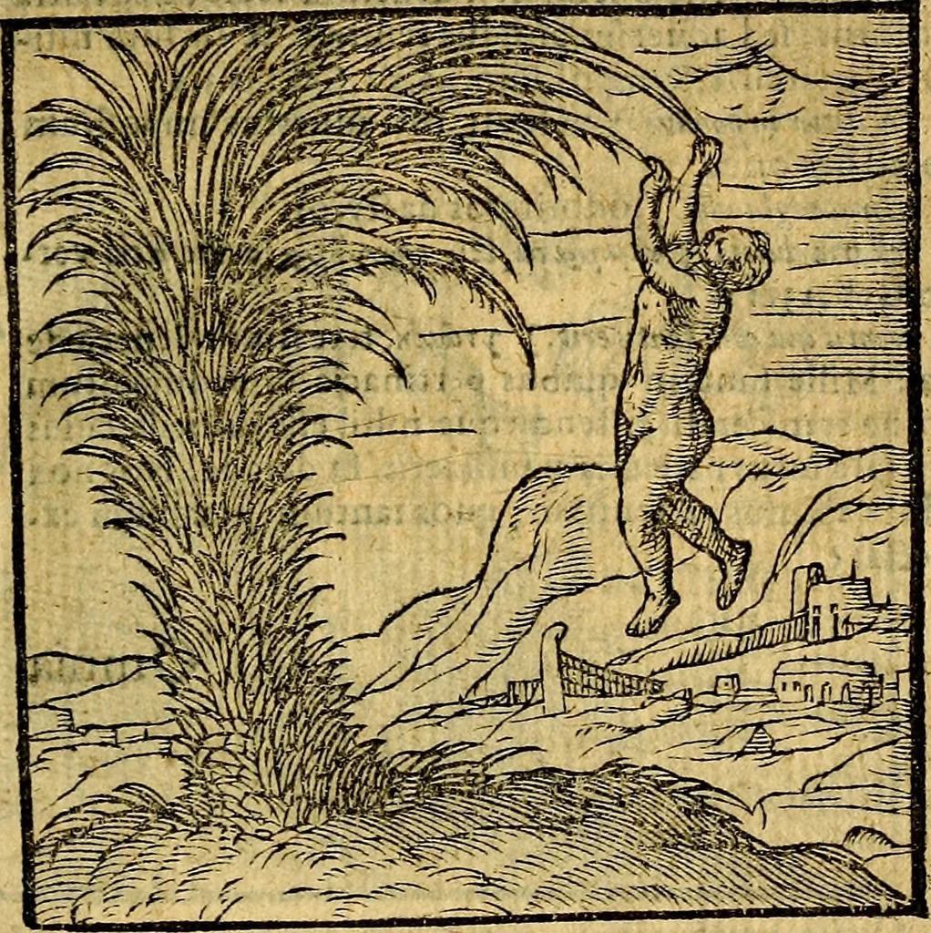 An illustration from Emblemata v. c. Andreae Alciati Mediolanensis iurisconsulti : cum facili & compe[n]diosa explicatione, qua obscura illustrantur, dubiáque omnia solvuntur, 1584, leaf 96