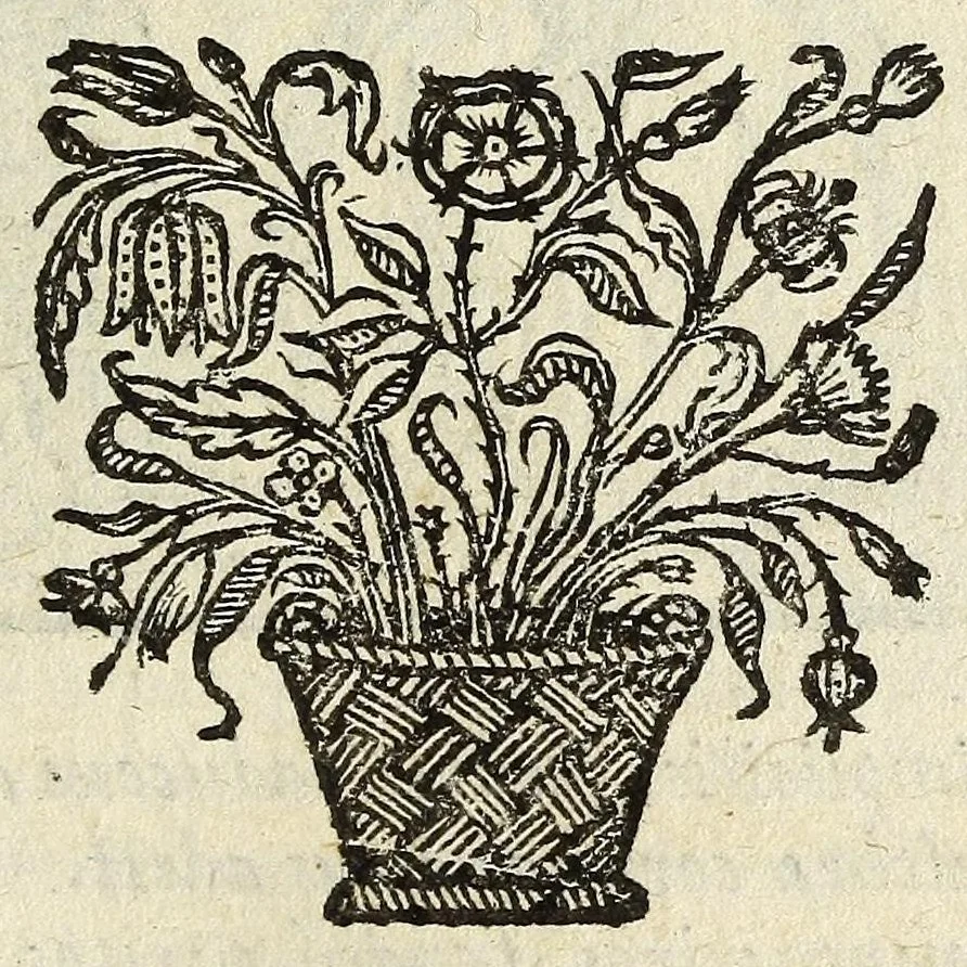 An illustration from Emblemata V.C. Andreæ Alciati Mediolanensis ivrisconsvlti : cum facii & compendiosa explicatione, quâ obscura illustrantur, dubiaq́ue omnia soluuntur, 1648, leaf 139