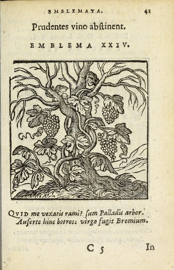 An illustration from Emblemata V.C. Andreæ Alciati Mediolanensis ivrisconsvlti : cum facii & compendiosa explicatione, quâ obscura illustrantur, dubiaq́ue omnia soluuntur, 1648, leaf 39