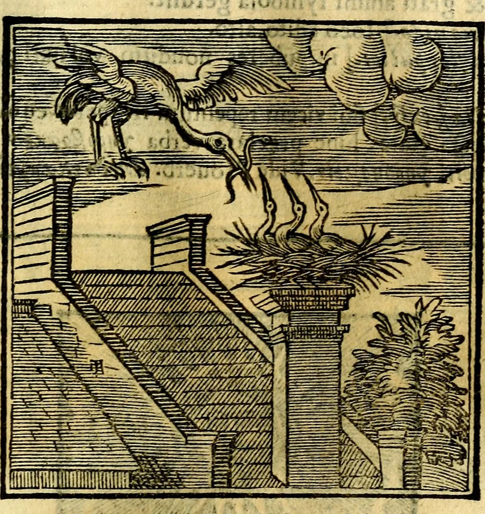 An illustration from Emblemata v. cl. Andreae Alciati : cū imaginibus plerisque restitutis ad mentem auctoris, 1618, leaf 114