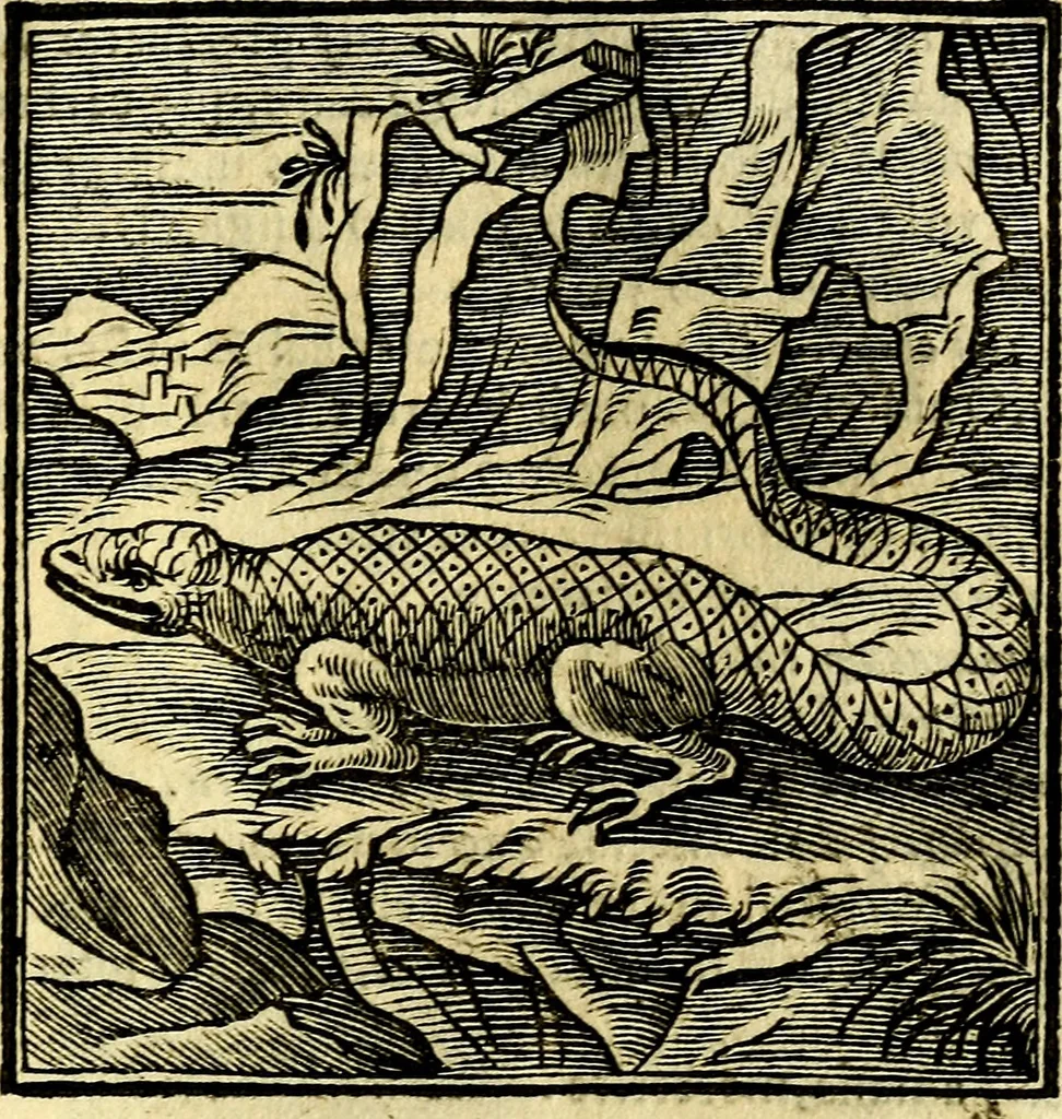 An illustration from Emblemata v. cl. Andreae Alciati : cū imaginibus plerisque restitutis ad mentem auctoris, 1618, leaf 148
