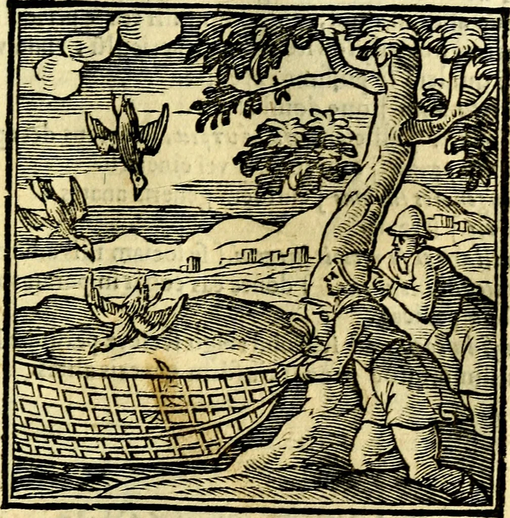 An illustration from Emblemata v. cl. Andreae Alciati : cū imaginibus plerisque restitutis ad mentem auctoris, 1618, leaf 150