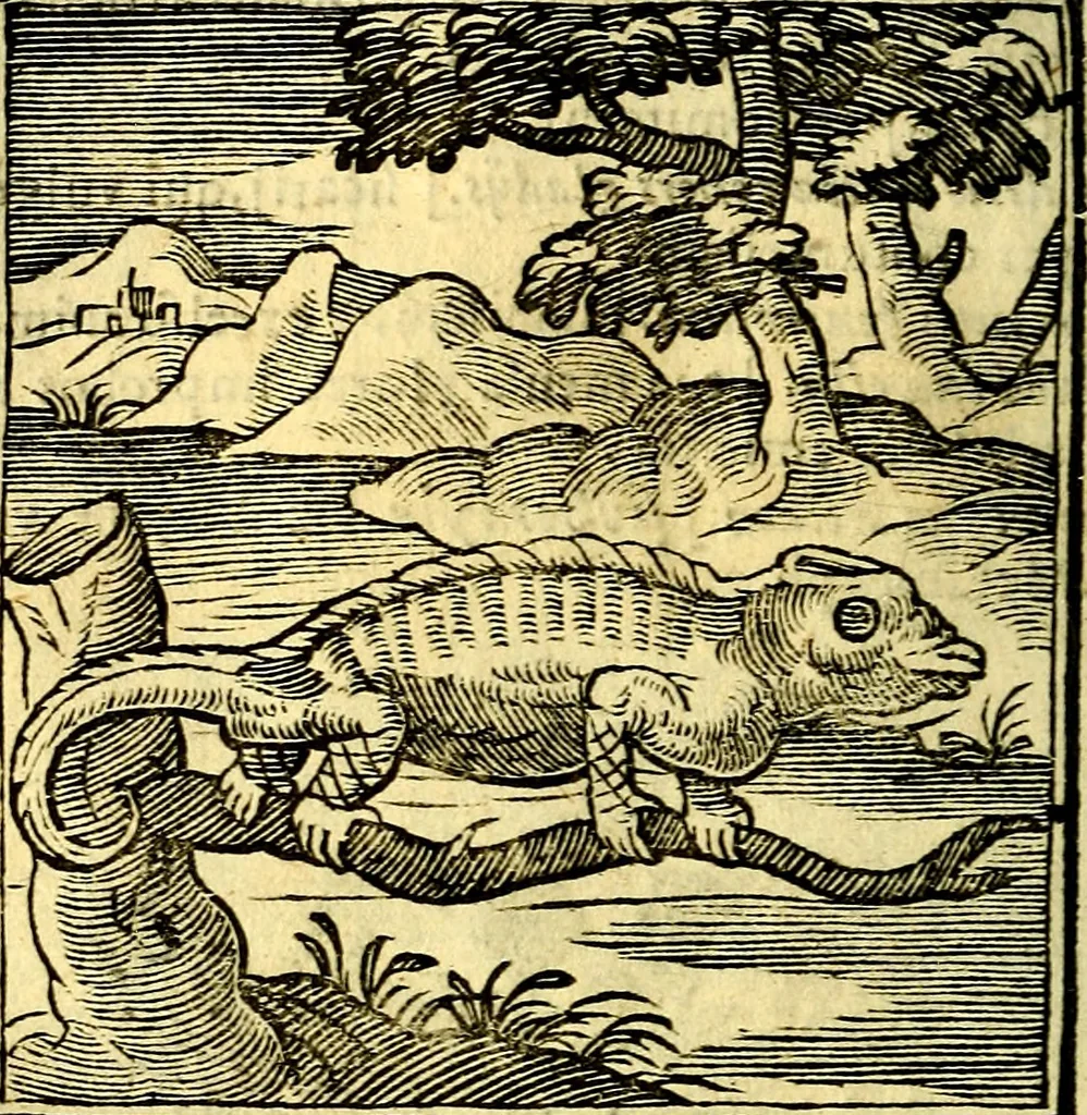 An illustration from Emblemata v. cl. Andreae Alciati : cū imaginibus plerisque restitutis ad mentem auctoris, 1618, leaf 155