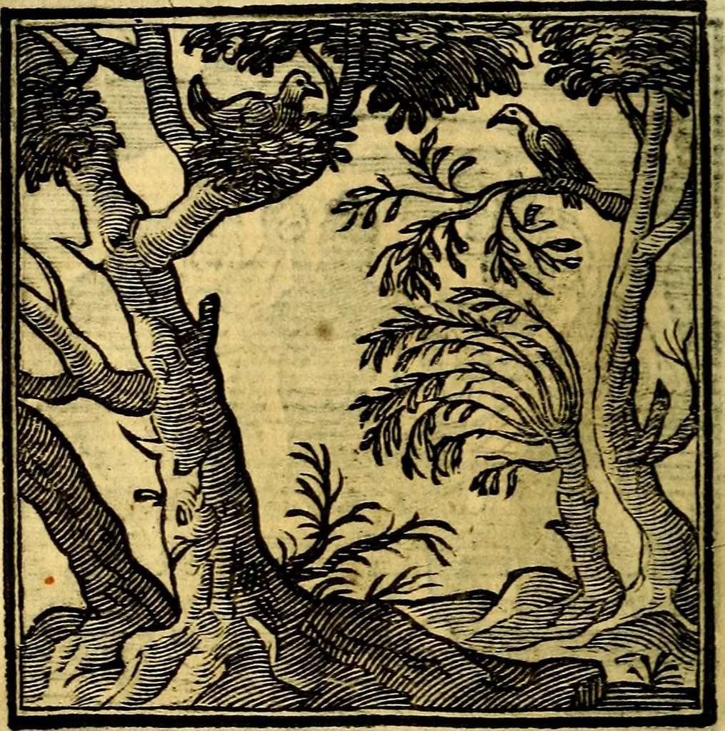 An illustration from Emblemata v. cl. Andreae Alciati : cū imaginibus plerisque restitutis ad mentem auctoris, 1618, leaf 165