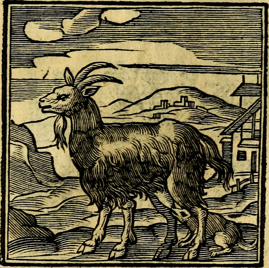An illustration from Emblemata v. cl. Andreae Alciati : cū imaginibus plerisque restitutis ad mentem auctoris, 1618, leaf 170