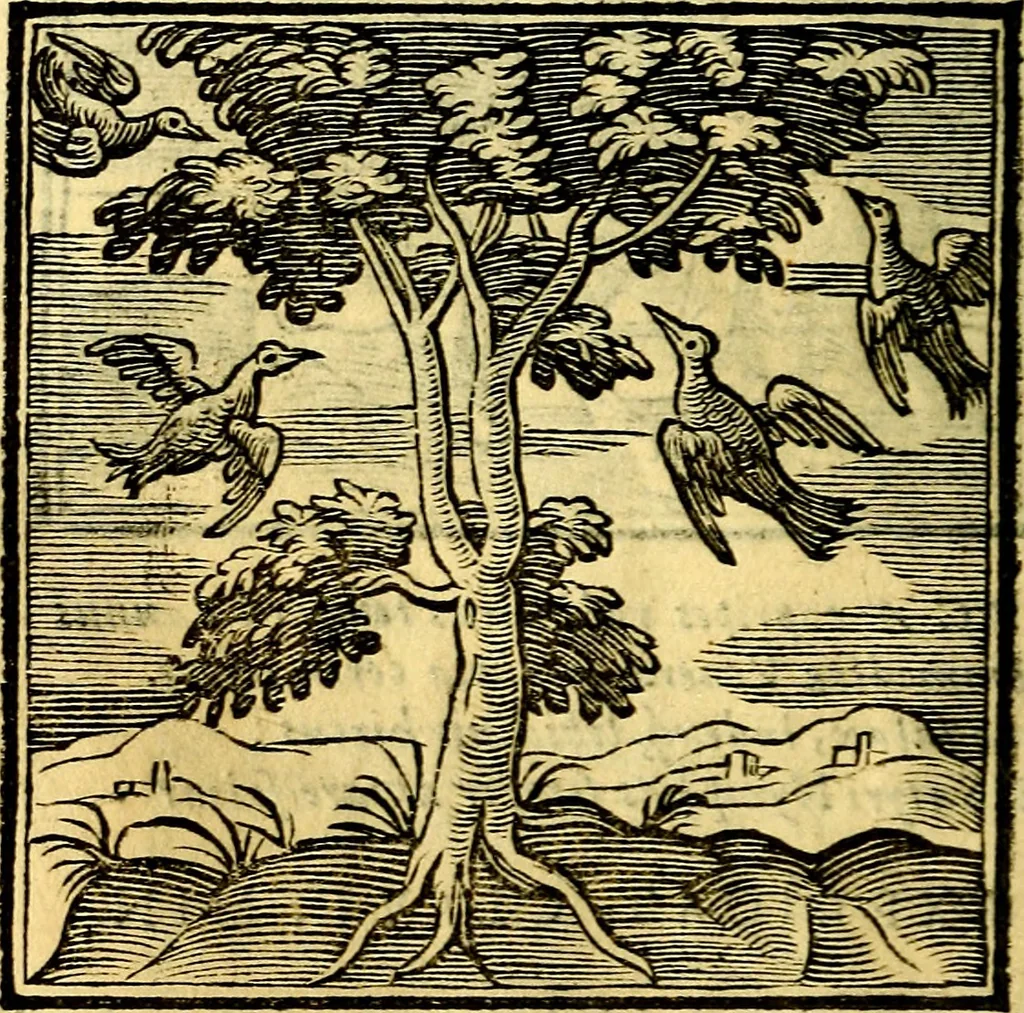 An illustration from Emblemata v. cl. Andreae Alciati : cū imaginibus plerisque restitutis ad mentem auctoris, 1618, leaf 185