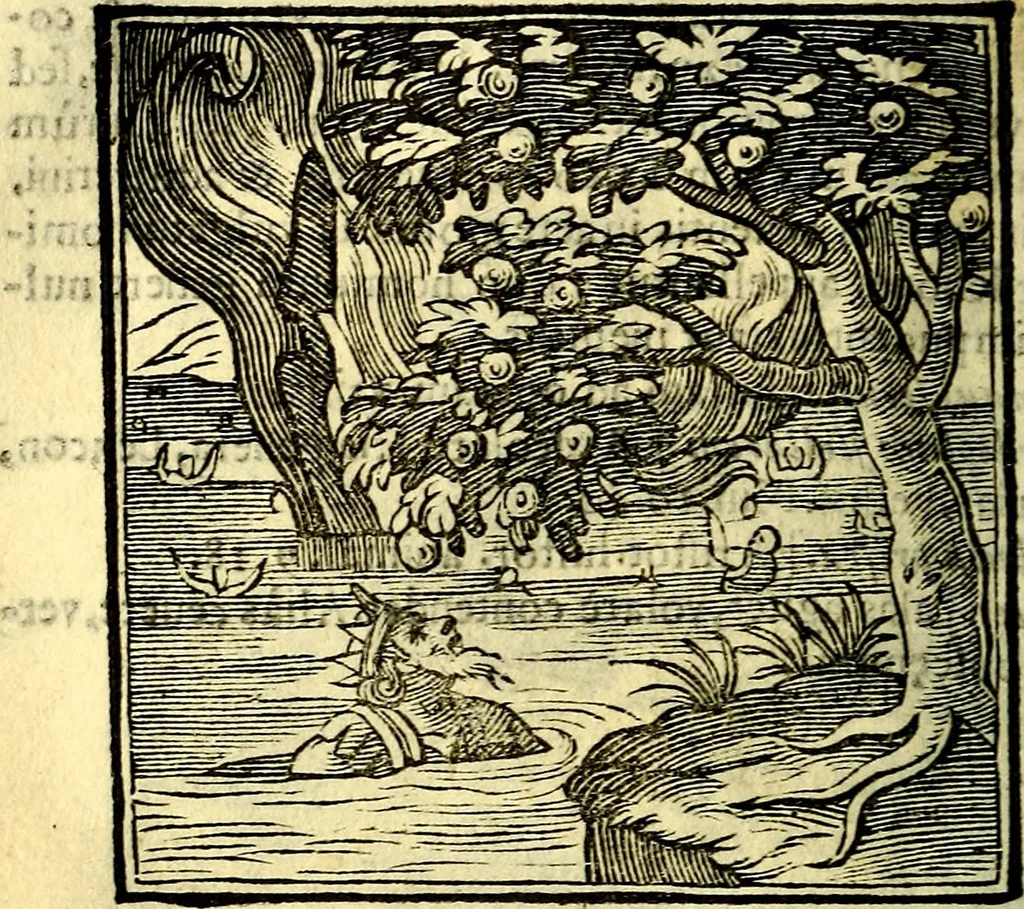 An illustration from Emblemata v. cl. Andreae Alciati : cū imaginibus plerisque restitutis ad mentem auctoris, 1618, leaf 203