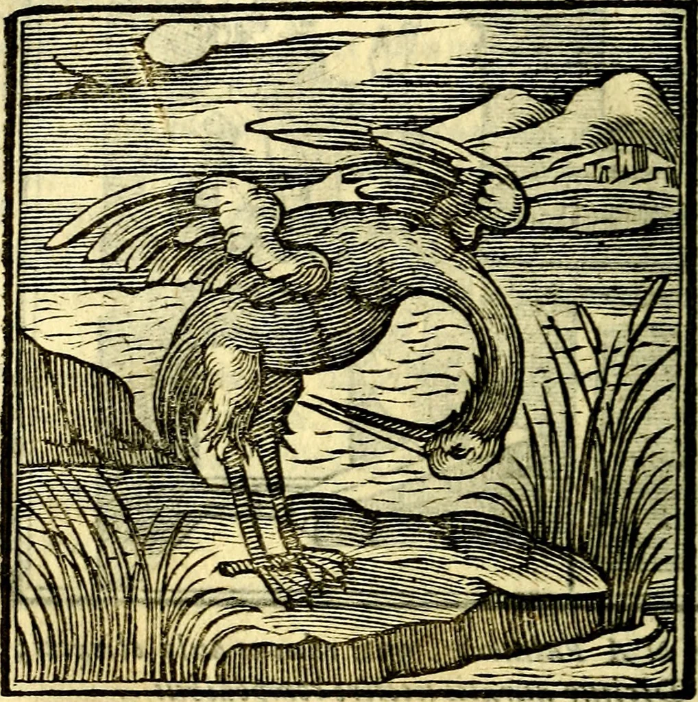 An illustration from Emblemata v. cl. Andreae Alciati : cū imaginibus plerisque restitutis ad mentem auctoris, 1618, leaf 207