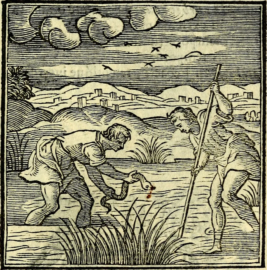 An illustration from Emblemata v. cl. Andreae Alciati : cū imaginibus plerisque restitutis ad mentem auctoris, 1618, leaf 208