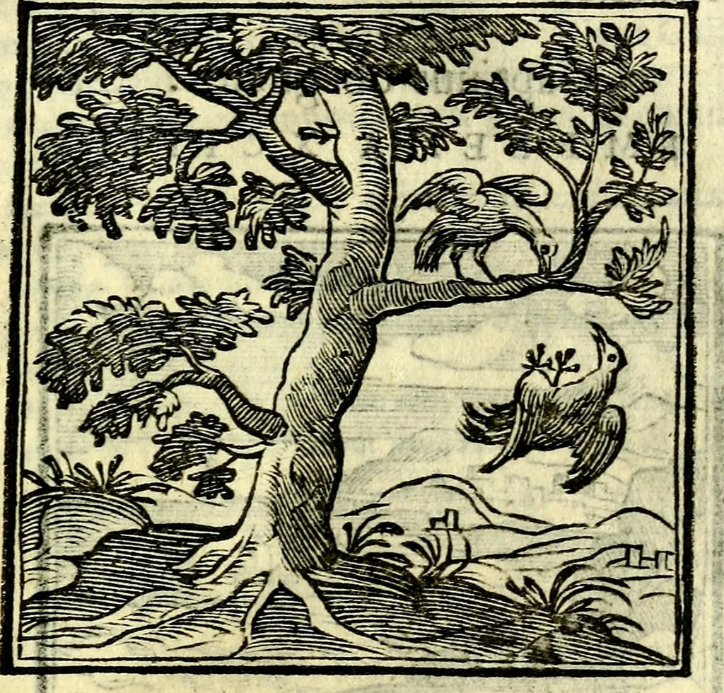 An illustration from Emblemata v. cl. Andreae Alciati : cū imaginibus plerisque restitutis ad mentem auctoris, 1618, leaf 218
