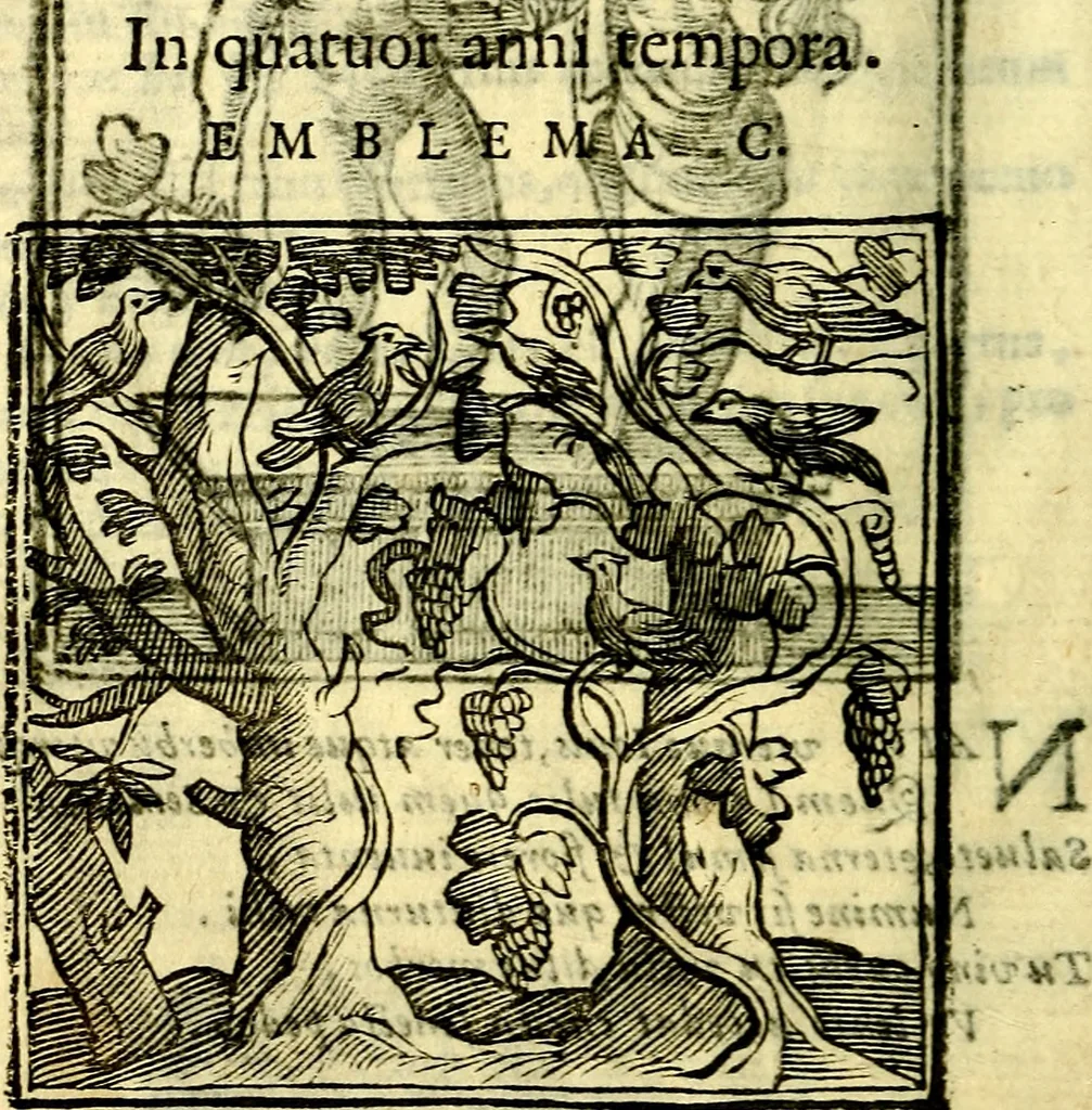 An illustration from Emblemata v. cl. Andreae Alciati : cū imaginibus plerisque restitutis ad mentem auctoris, 1618, leaf 229