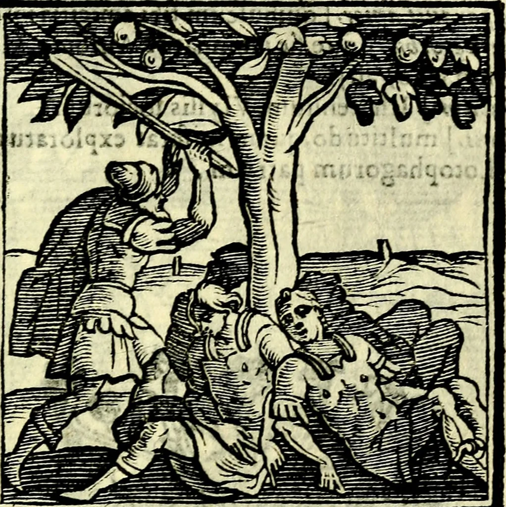 An illustration from Emblemata v. cl. Andreae Alciati : cū imaginibus plerisque restitutis ad mentem auctoris, 1618, leaf 256