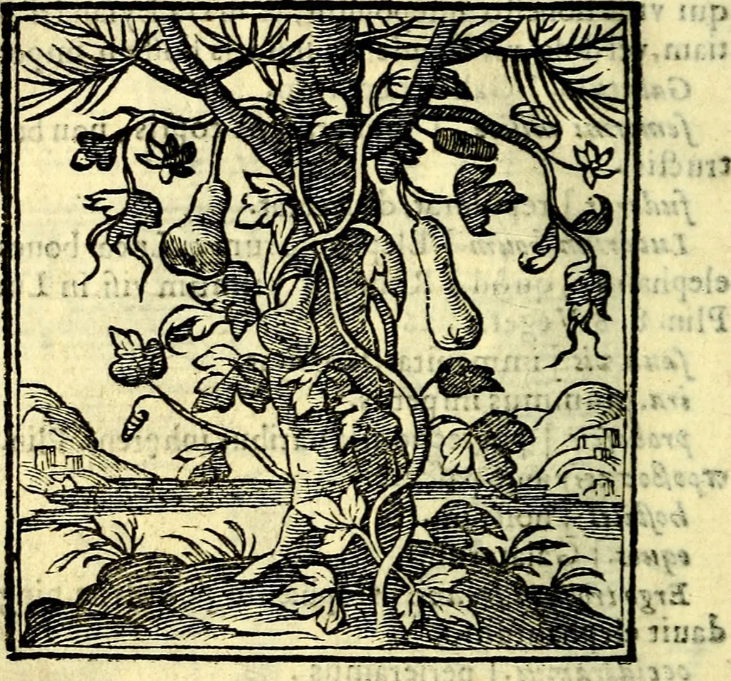 An illustration from Emblemata v. cl. Andreae Alciati : cū imaginibus plerisque restitutis ad mentem auctoris, 1618, leaf 273