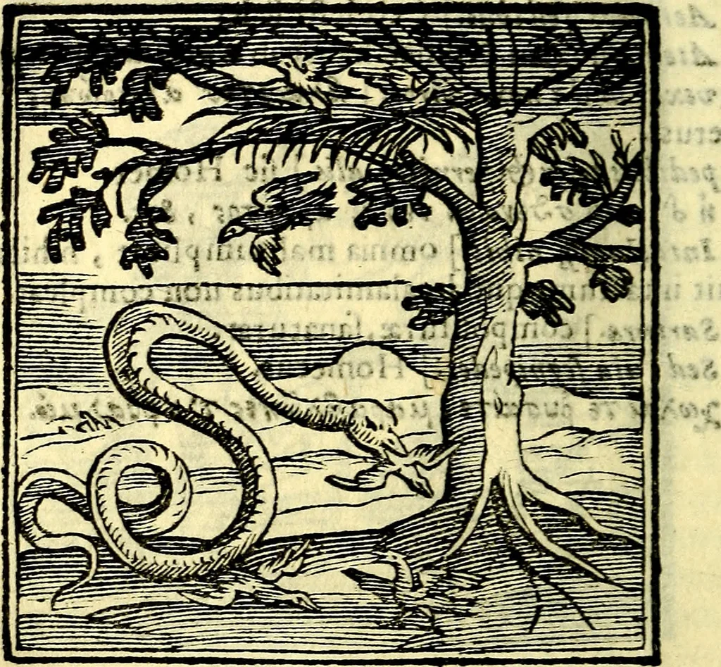 An illustration from Emblemata v. cl. Andreae Alciati : cū imaginibus plerisque restitutis ad mentem auctoris, 1618, leaf 285