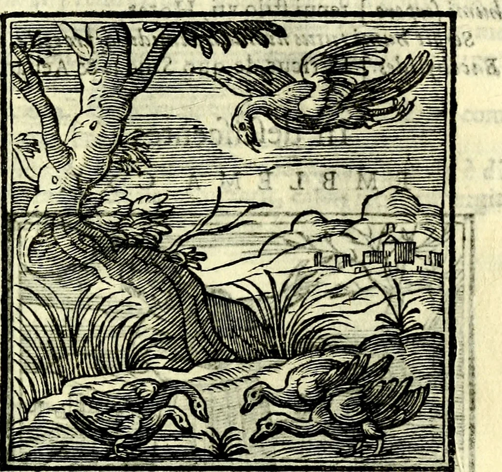 An illustration from Emblemata v. cl. Andreae Alciati : cū imaginibus plerisque restitutis ad mentem auctoris, 1618, leaf 302