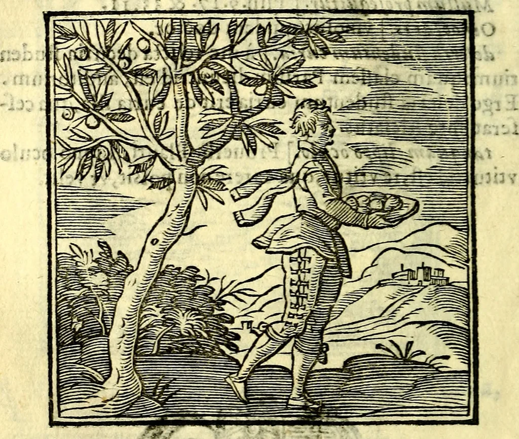 An illustration from Emblemata v. cl. Andreae Alciati : cū imaginibus plerisque restitutis ad mentem auctoris, 1618, leaf 307
