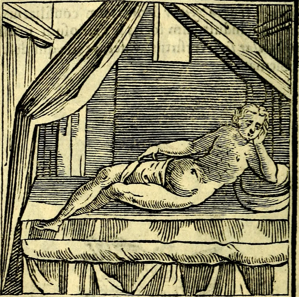 An illustration from Emblemata v. cl. Andreae Alciati : cū imaginibus plerisque restitutis ad mentem auctoris, 1618, leaf 315