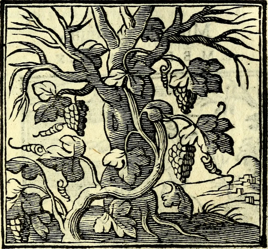 An illustration from Emblemata v. cl. Andreae Alciati : cū imaginibus plerisque restitutis ad mentem auctoris, 1618, leaf 336