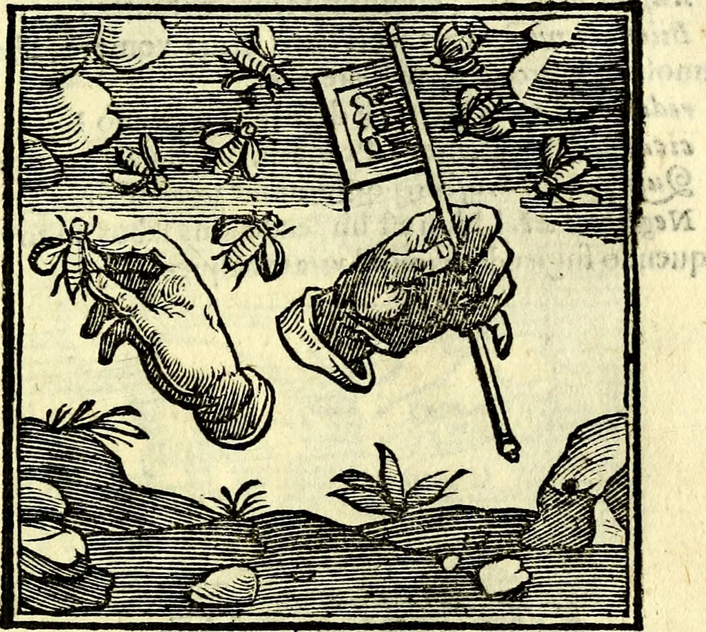 An illustration from Emblemata v. cl. Andreae Alciati : cū imaginibus plerisque restitutis ad mentem auctoris, 1618, leaf 342