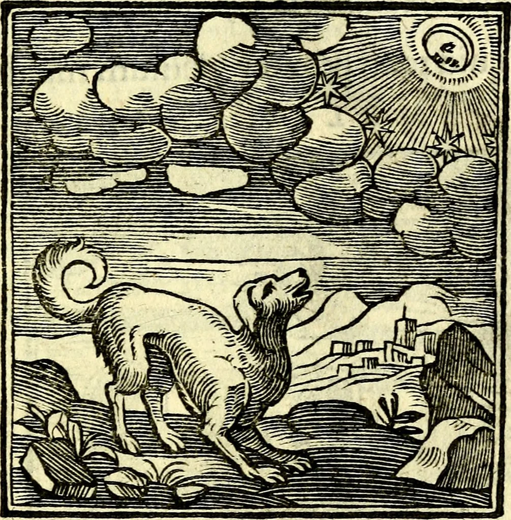 An illustration from Emblemata v. cl. Andreae Alciati : cū imaginibus plerisque restitutis ad mentem auctoris, 1618, leaf 344