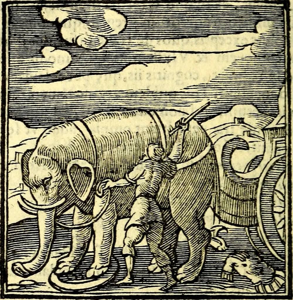 An illustration from Emblemata v. cl. Andreae Alciati : cū imaginibus plerisque restitutis ad mentem auctoris, 1618, leaf 365