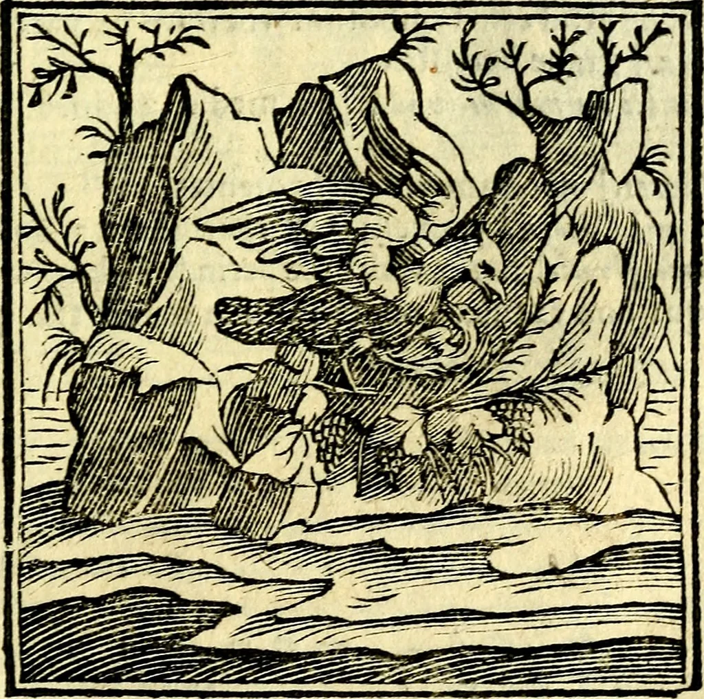 An illustration from Emblemata v. cl. Andreae Alciati : cū imaginibus plerisque restitutis ad mentem auctoris, 1618, leaf 368