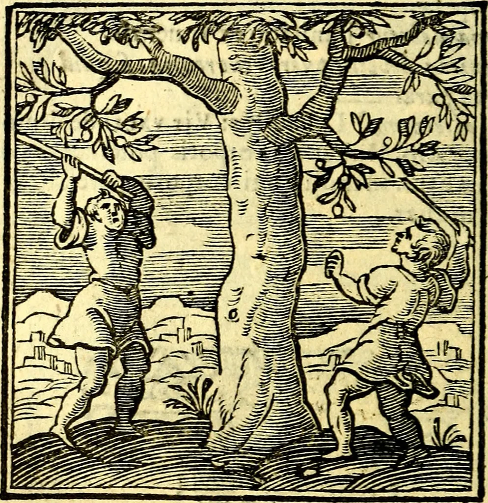 An illustration from Emblemata v. cl. Andreae Alciati : cū imaginibus plerisque restitutis ad mentem auctoris, 1618, leaf 399