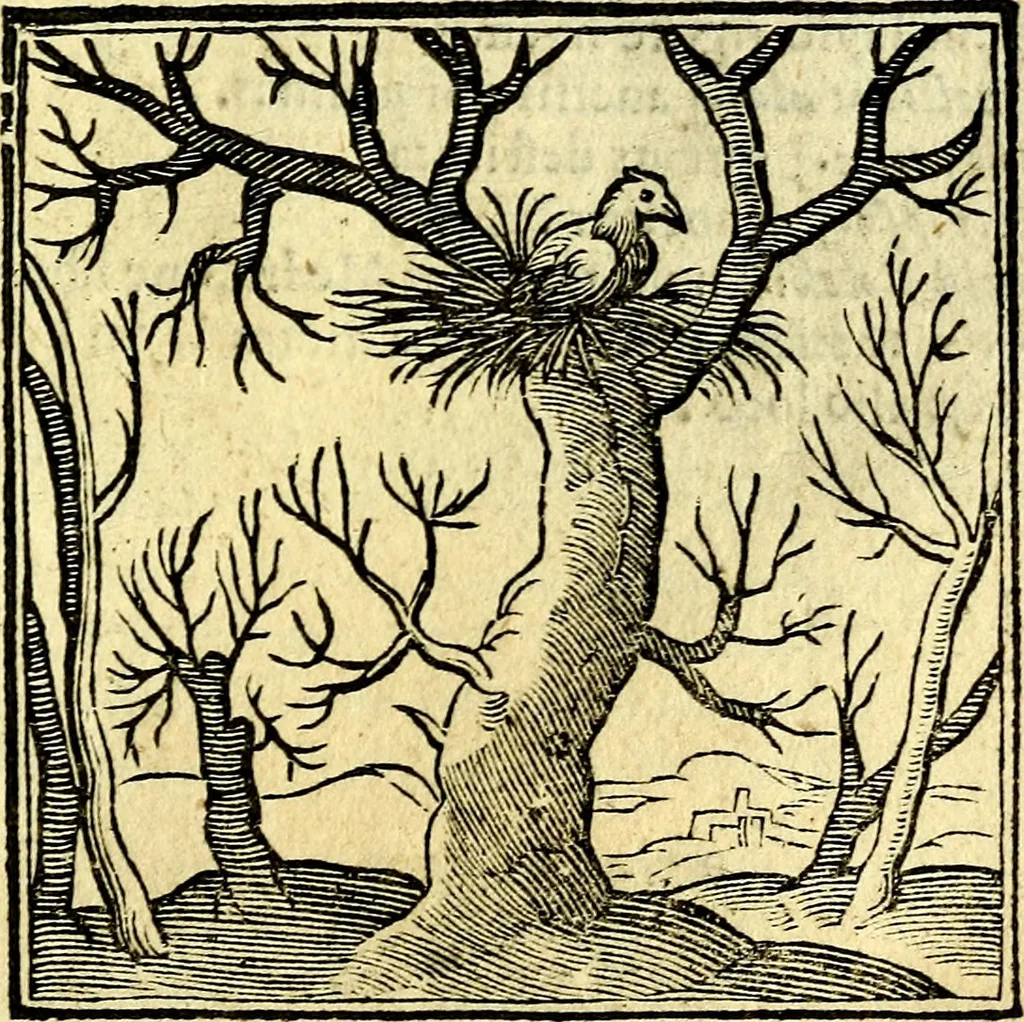 An illustration from Emblemata v. cl. Andreae Alciati : cū imaginibus plerisque restitutis ad mentem auctoris, 1618, leaf 400