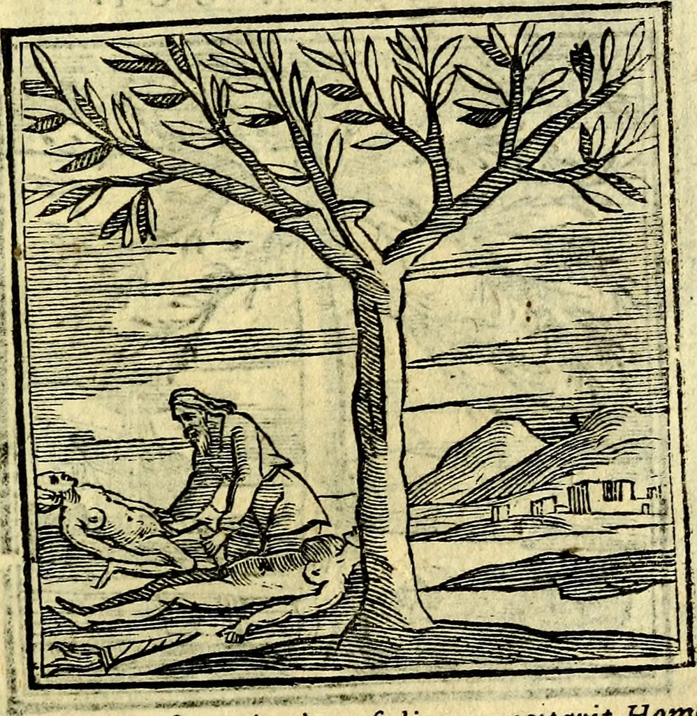 An illustration from Emblemata v. cl. Andreae Alciati : cū imaginibus plerisque restitutis ad mentem auctoris, 1618, leaf 412