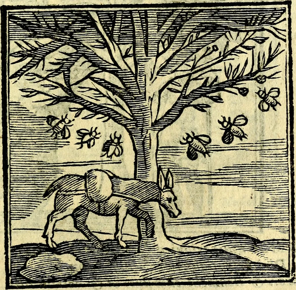 An illustration from Emblemata v. cl. Andreae Alciati : cū imaginibus plerisque restitutis ad mentem auctoris, 1618, leaf 414