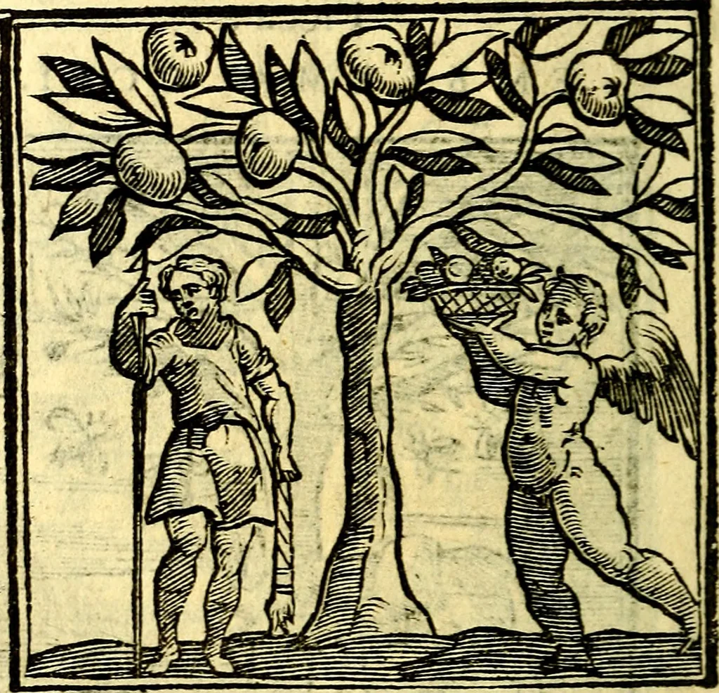 An illustration from Emblemata v. cl. Andreae Alciati : cū imaginibus plerisque restitutis ad mentem auctoris, 1618, leaf 415