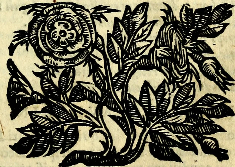 An illustration from Emblemata v. cl. Andreae Alciati : cū imaginibus plerisque restitutis ad mentem auctoris, 1618, leaf 62