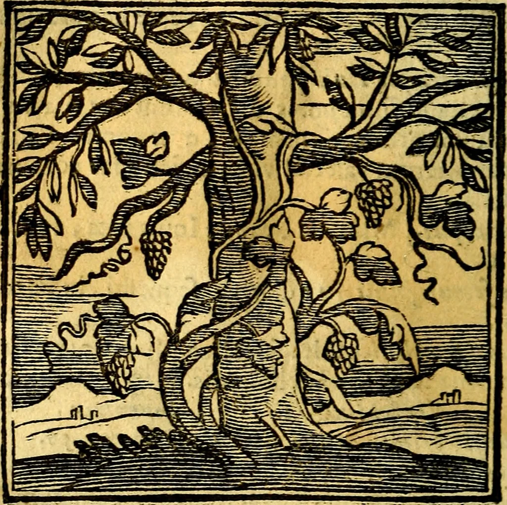An illustration from Emblemata v. cl. Andreae Alciati : cū imaginibus plerisque restitutis ad mentem auctoris, 1618, leaf 99