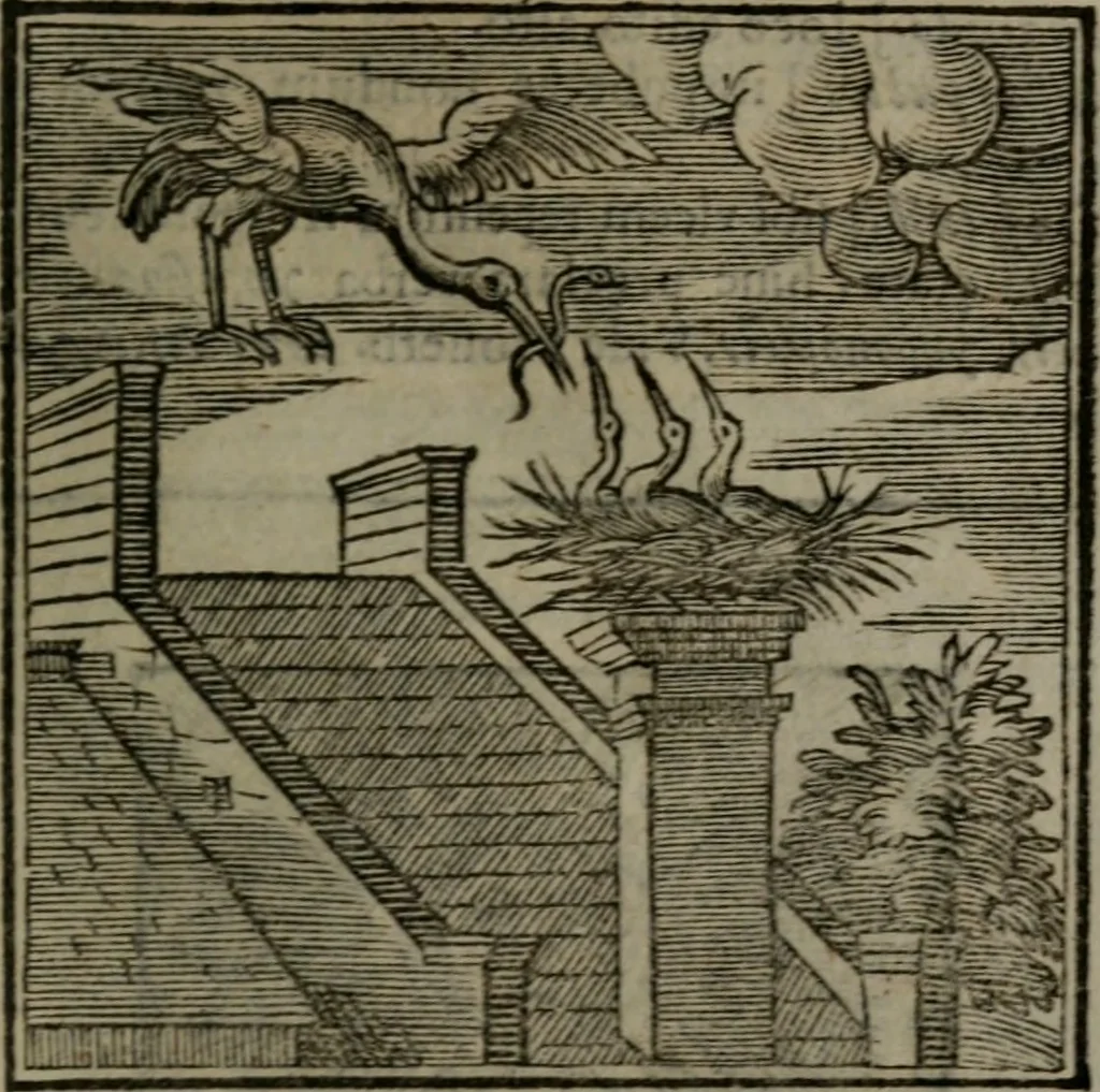 An illustration from Emblemata v. cl. Andreae Alciati : cu imaginibus plerisque restitutis ad mentem auctoris, 1618, leaf 114
