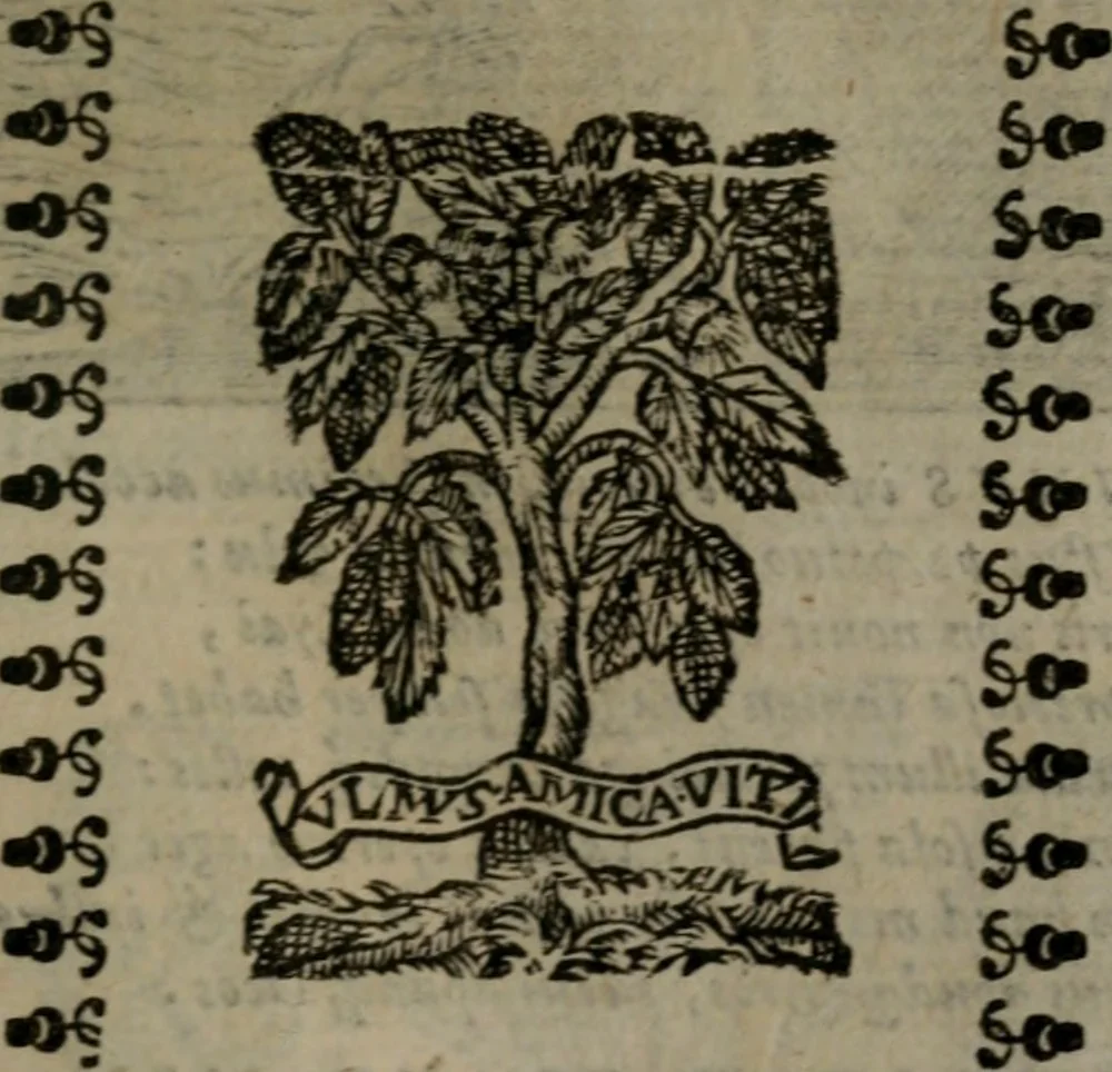An illustration from Emblemata v. cl. Andreae Alciati : cu imaginibus plerisque restitutis ad mentem auctoris, 1618, leaf 126
