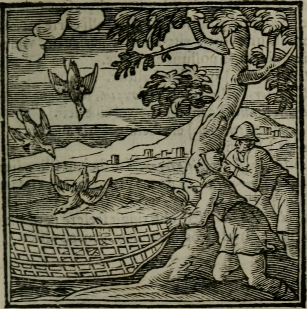 An illustration from Emblemata v. cl. Andreae Alciati : cu imaginibus plerisque restitutis ad mentem auctoris, 1618, leaf 150