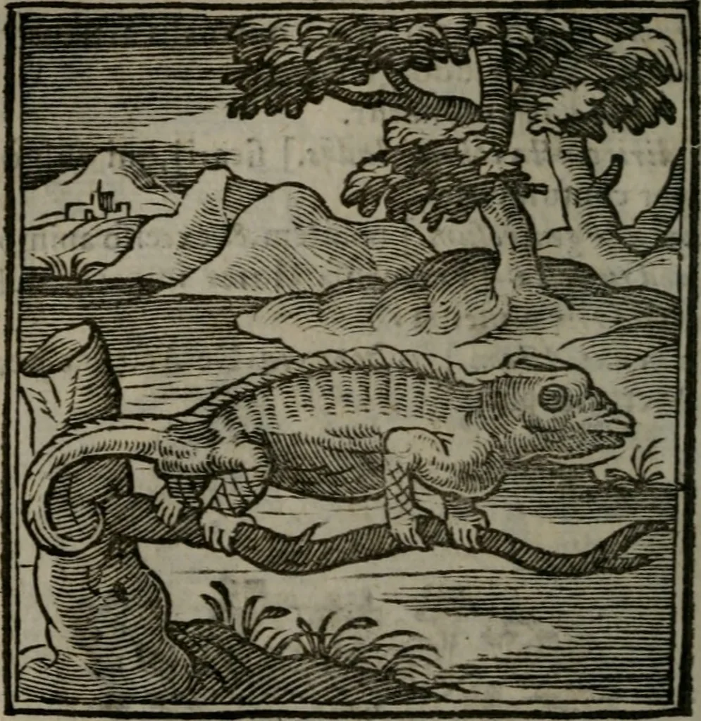 An illustration from Emblemata v. cl. Andreae Alciati : cu imaginibus plerisque restitutis ad mentem auctoris, 1618, leaf 155