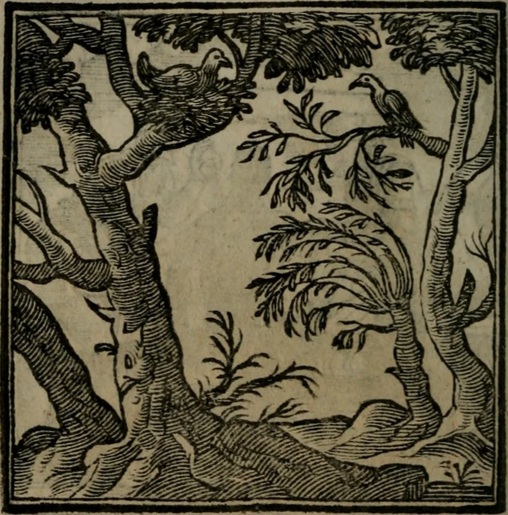 An illustration from Emblemata v. cl. Andreae Alciati : cu imaginibus plerisque restitutis ad mentem auctoris, 1618, leaf 165