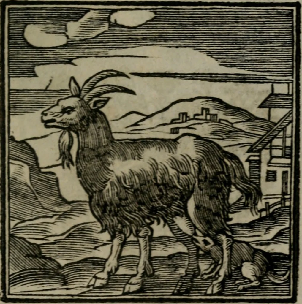 An illustration from Emblemata v. cl. Andreae Alciati : cu imaginibus plerisque restitutis ad mentem auctoris, 1618, leaf 170