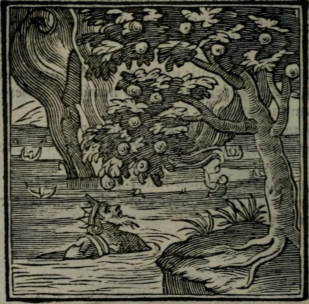 An illustration from Emblemata v. cl. Andreae Alciati : cu imaginibus plerisque restitutis ad mentem auctoris, 1618, leaf 203