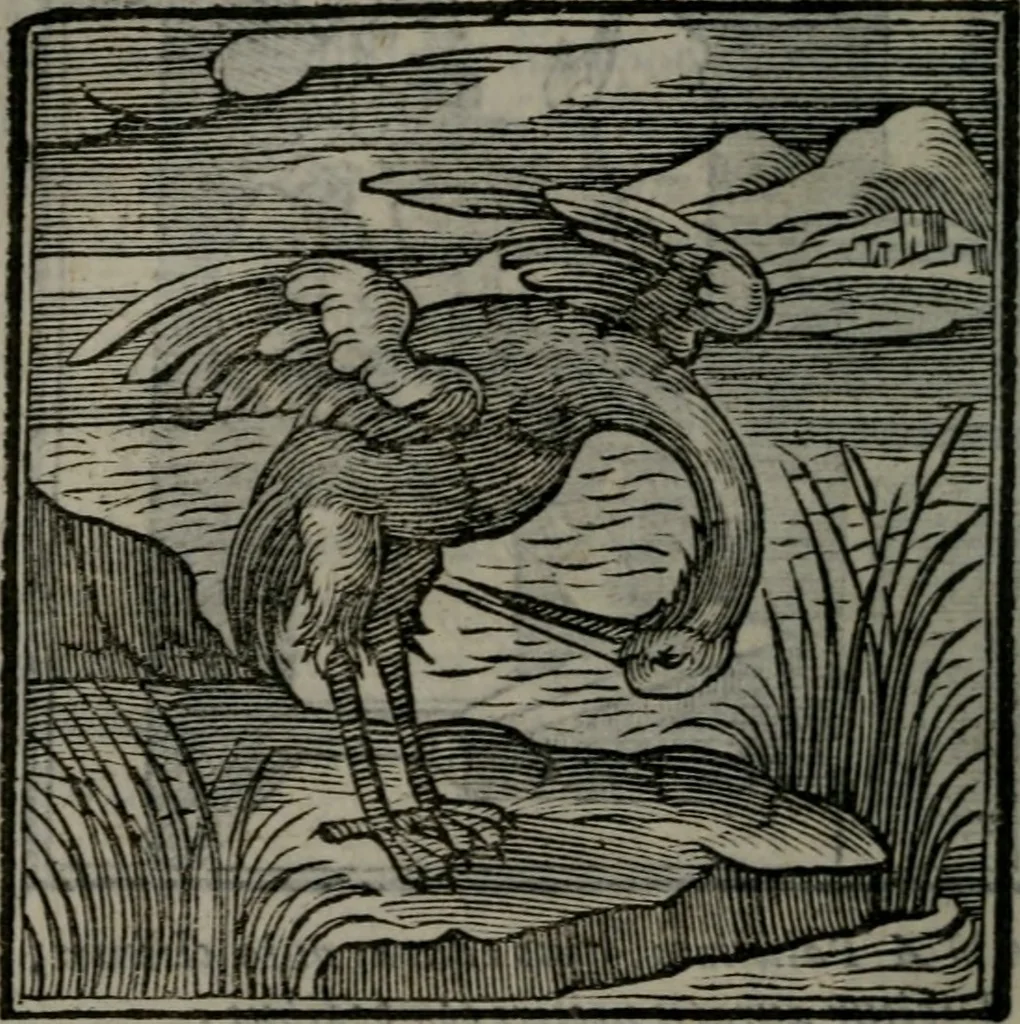 An illustration from Emblemata v. cl. Andreae Alciati : cu imaginibus plerisque restitutis ad mentem auctoris, 1618, leaf 207