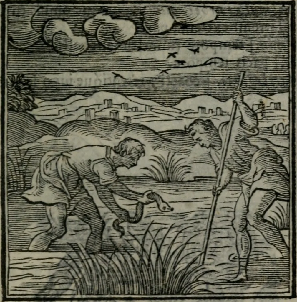 An illustration from Emblemata v. cl. Andreae Alciati : cu imaginibus plerisque restitutis ad mentem auctoris, 1618, leaf 208