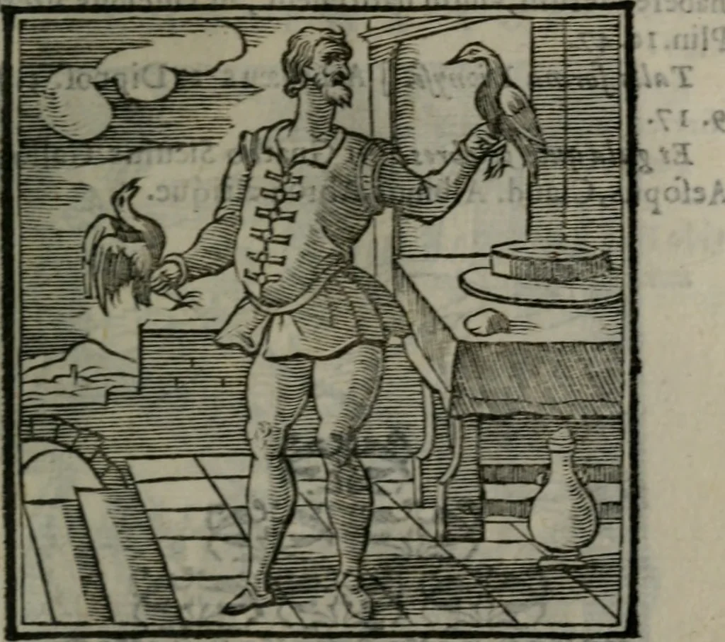 An illustration from Emblemata v. cl. Andreae Alciati : cu imaginibus plerisque restitutis ad mentem auctoris, 1618, leaf 212