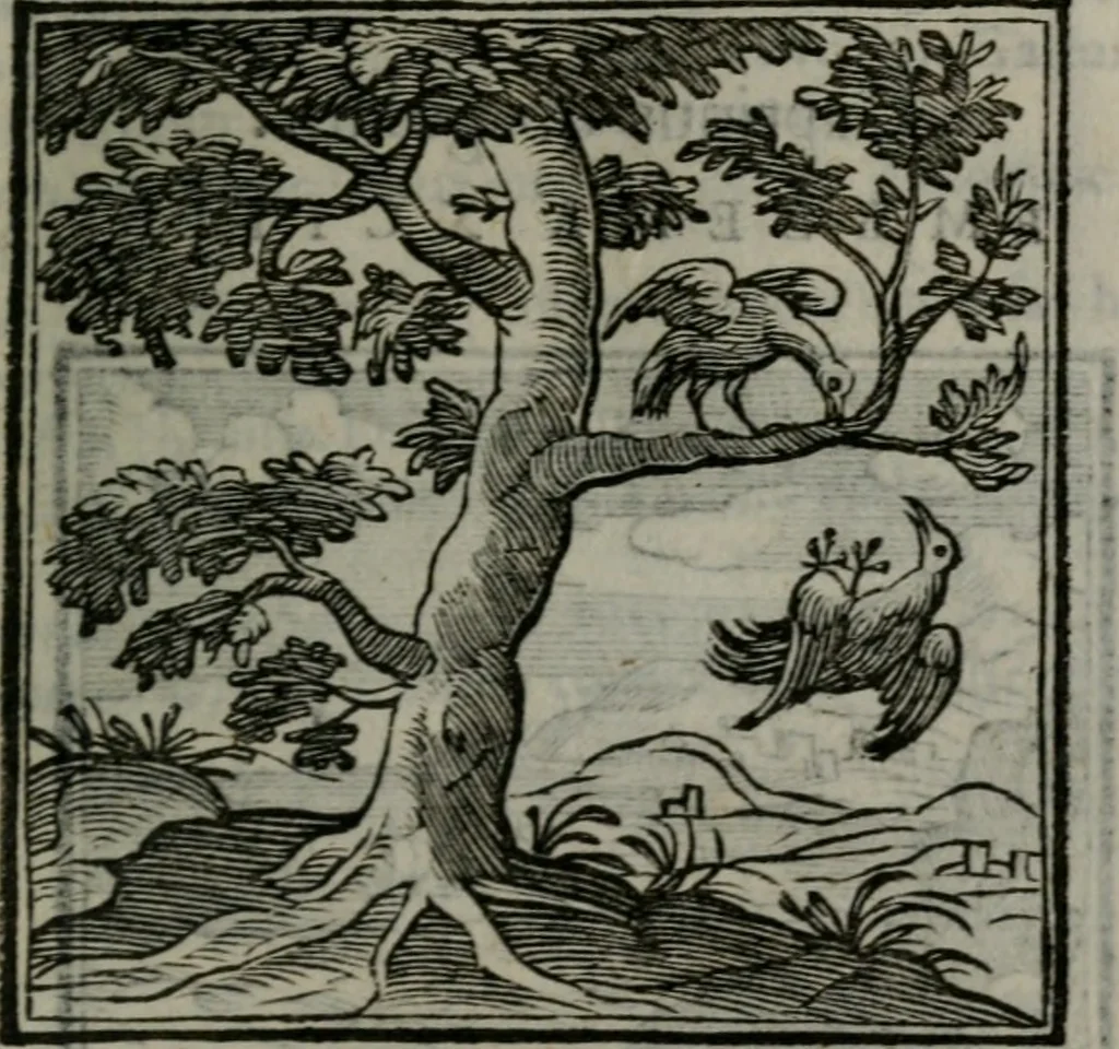 An illustration from Emblemata v. cl. Andreae Alciati : cu imaginibus plerisque restitutis ad mentem auctoris, 1618, leaf 218