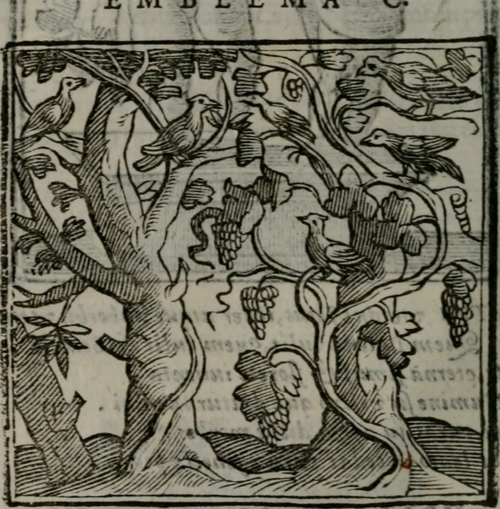 An illustration from Emblemata v. cl. Andreae Alciati : cu imaginibus plerisque restitutis ad mentem auctoris, 1618, leaf 229
