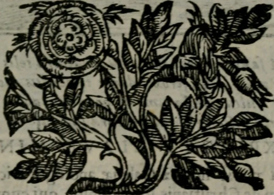 An illustration from Emblemata v. cl. Andreae Alciati : cu imaginibus plerisque restitutis ad mentem auctoris, 1618, leaf 258