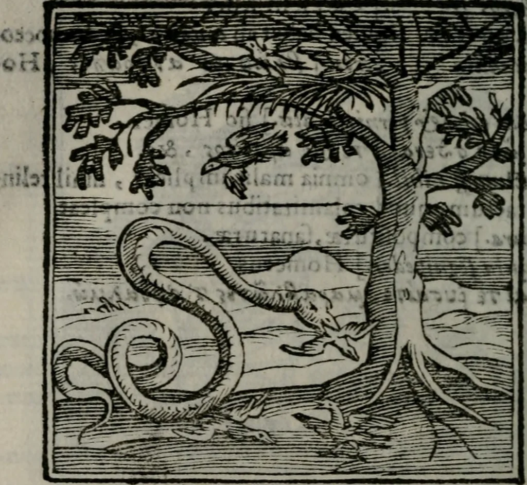 An illustration from Emblemata v. cl. Andreae Alciati : cu imaginibus plerisque restitutis ad mentem auctoris, 1618, leaf 269